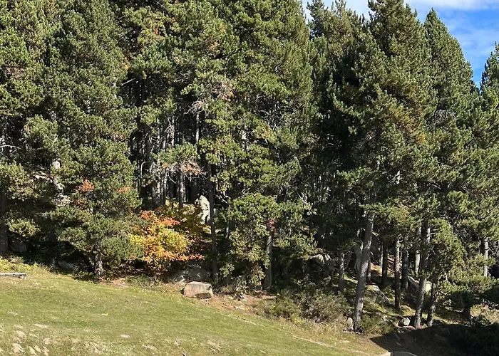 Апартаменты A L'oree Des Bois Egat
